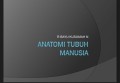 ANATOMI TUBUH MANUSIA